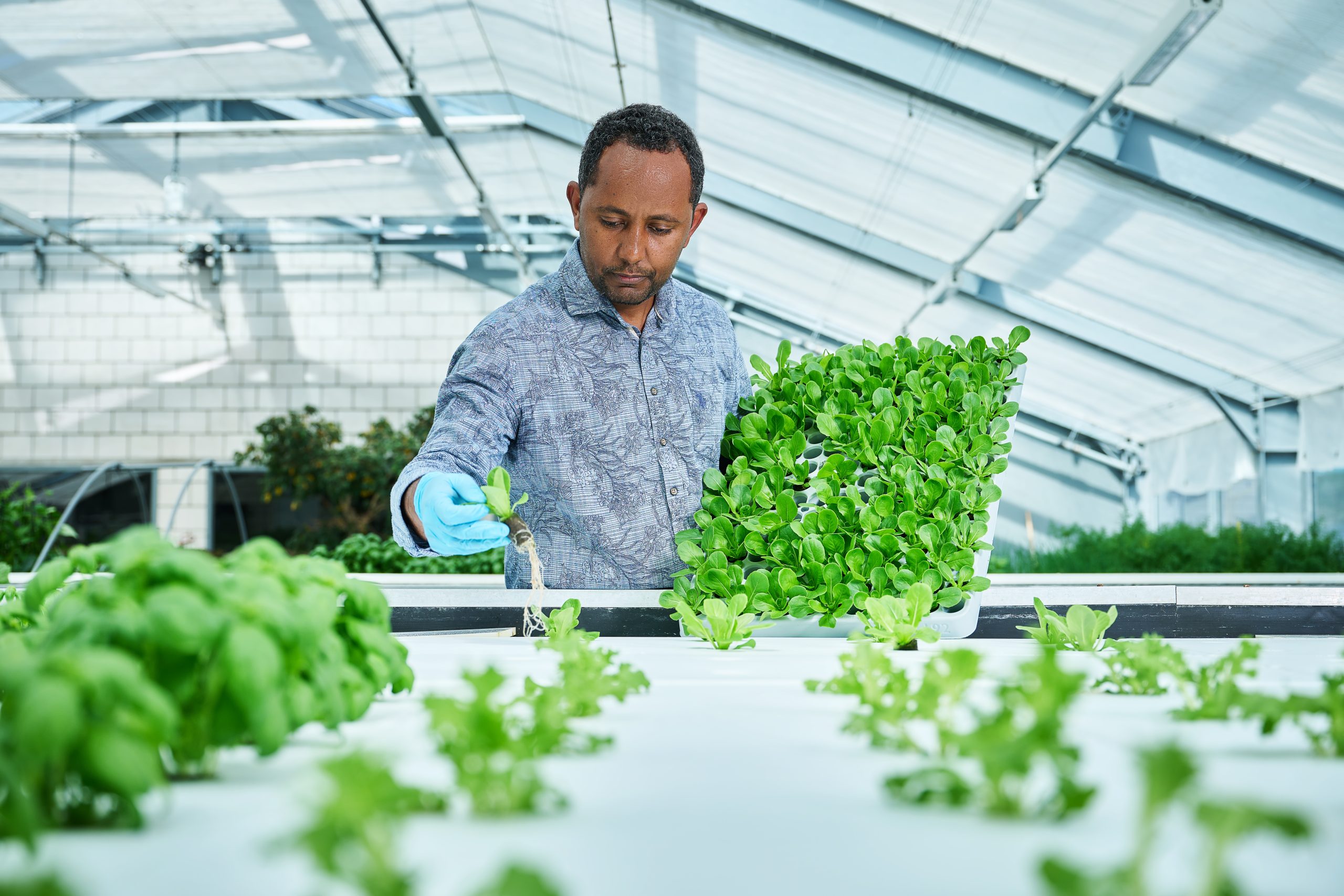 Maan Biobased products
