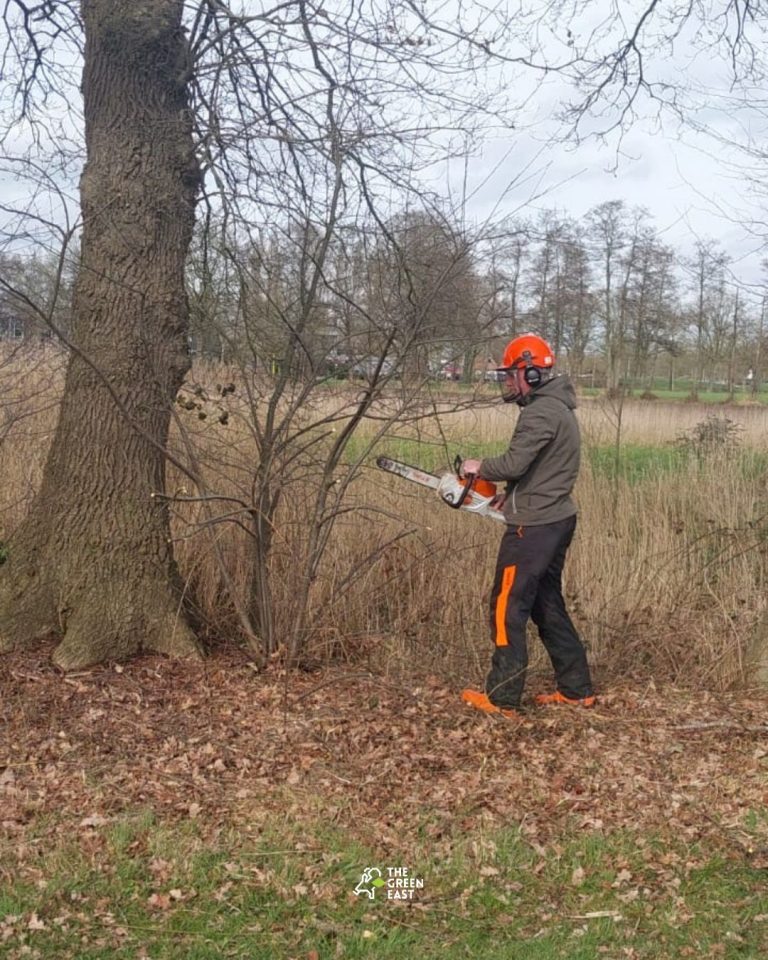 Buiten leren, gewoon door te doen