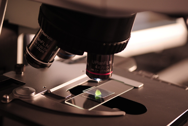 Laboratoria