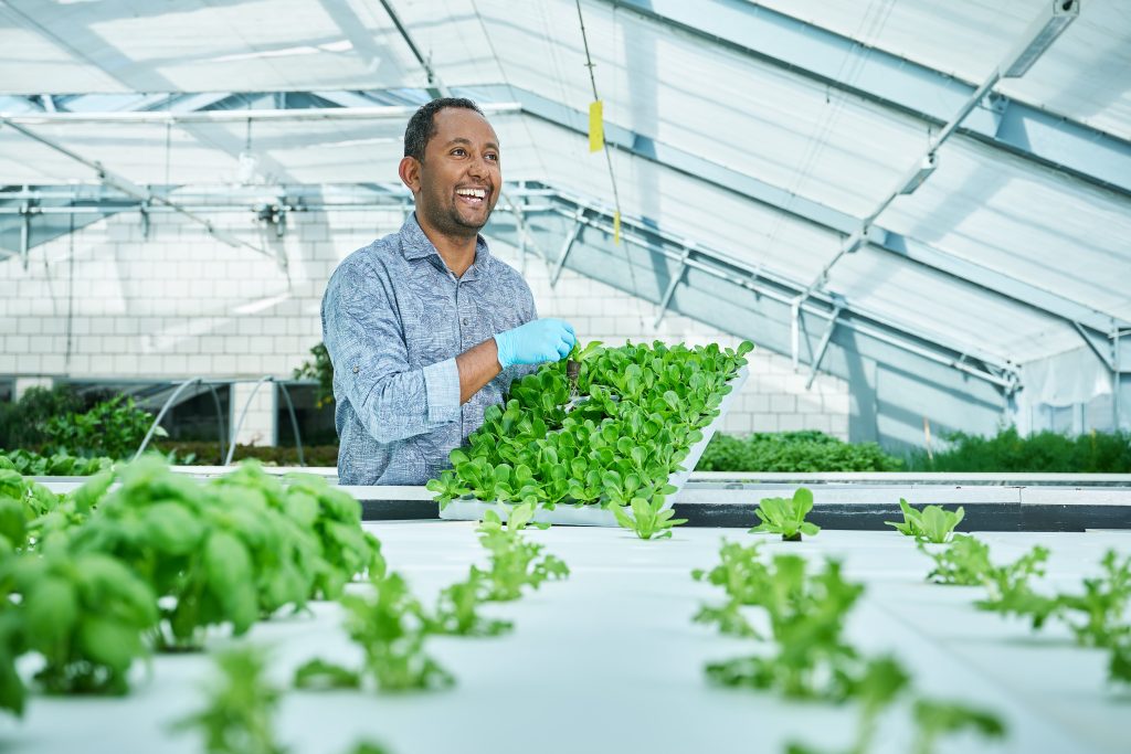Werken bij The Green East