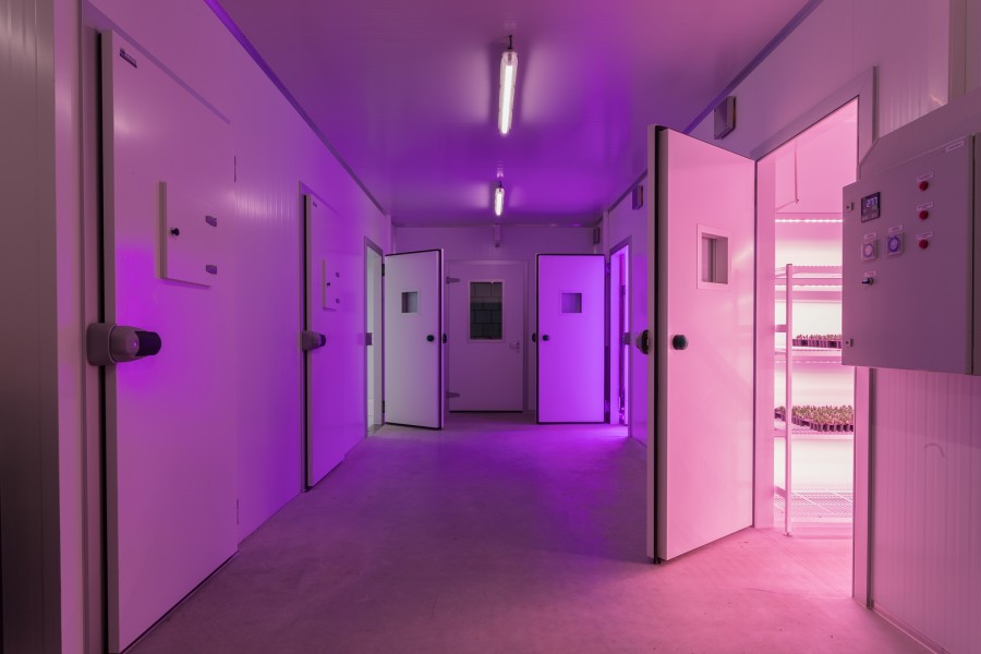 Kweekkamers
